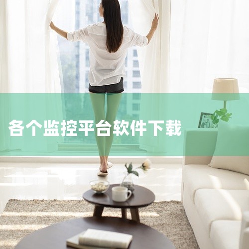 企业回监控软件哪个好？主要从一下几点来分辨：1，软件开发商成立时间。2，软件功能是否稳定。3，软件安装是否简单。4，软件界面是否友好。5，软件价格是否合适。6，软件是否支持试用。作为企业在选择监控软件,